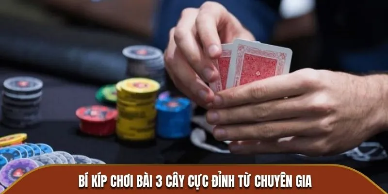 Bí kíp chơi bài 3 cây cực đỉnh từ chuyên gia