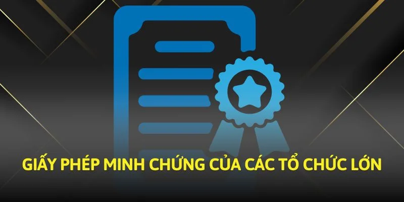 Giấy phép minh chứng của các tổ chức lớn